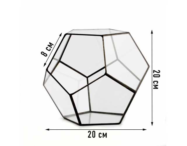 Геометрический флорариум «Додекаэдр» размер «L»