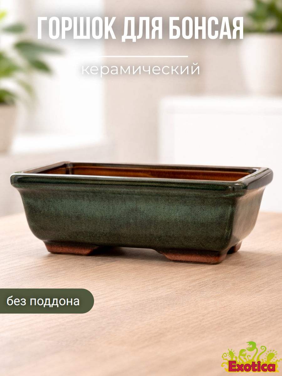 Горшок для бонсая "Оазис" большой (пустой), без поддона