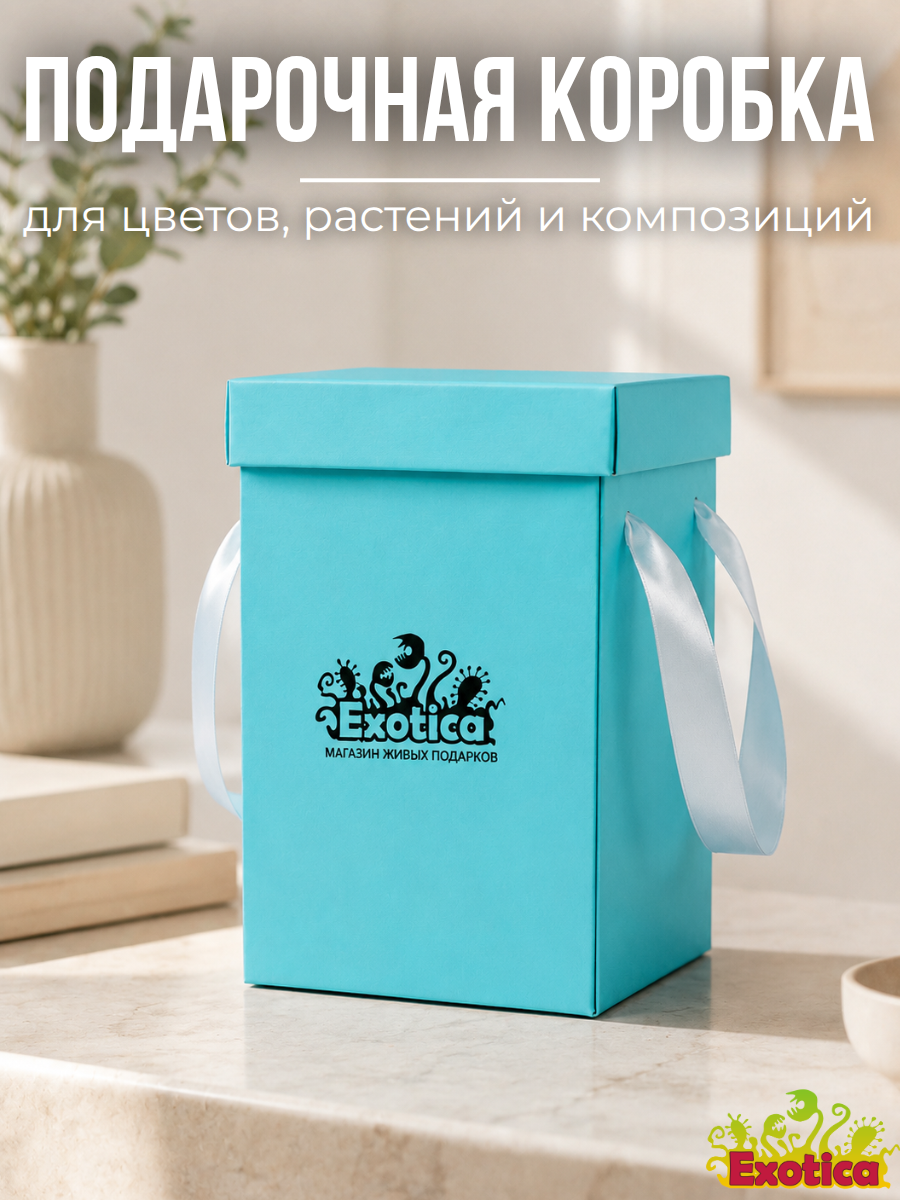 Коробка Подарочная "Тиффани" 14*23см