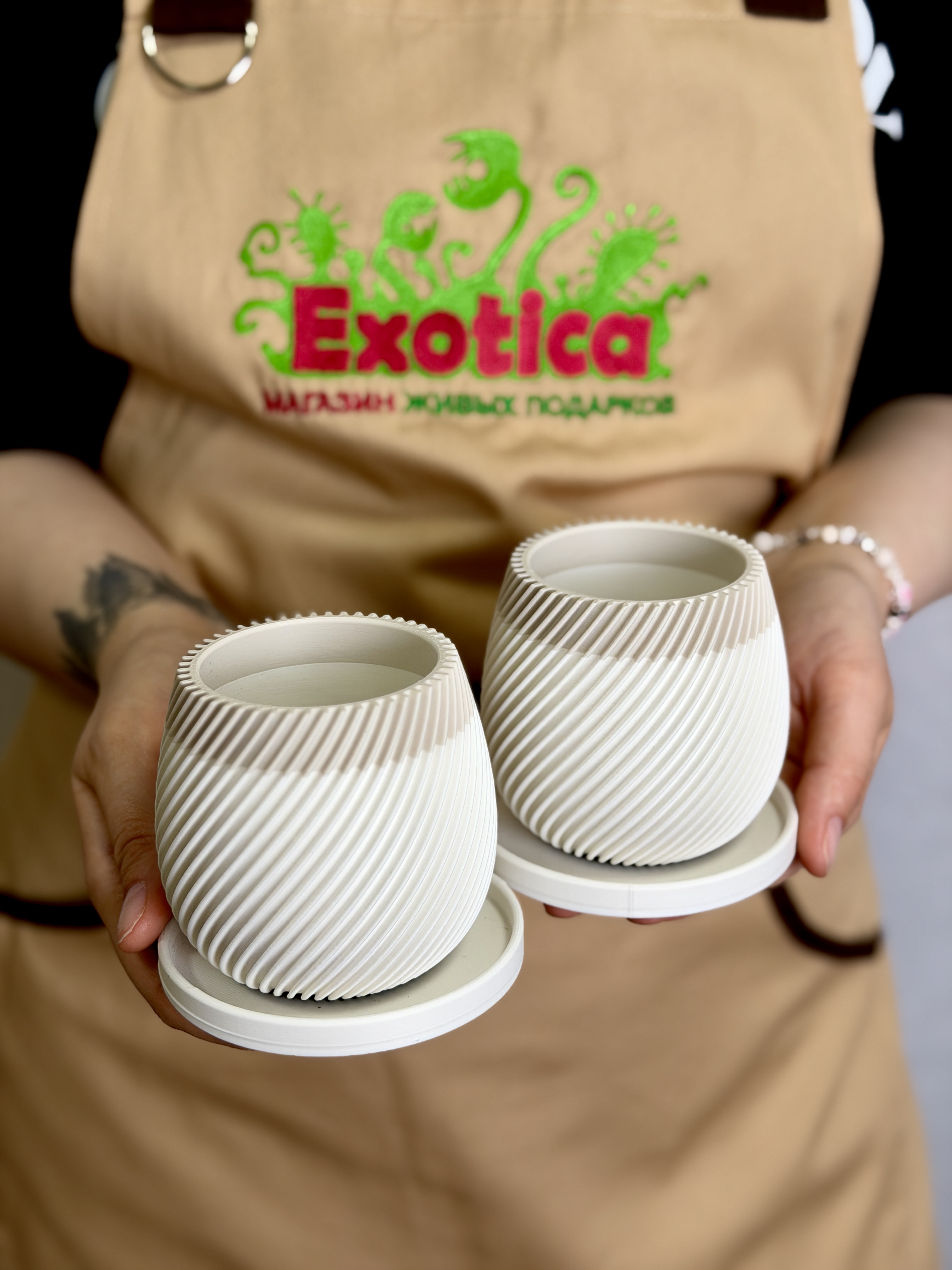 Горшок с поддоном Exotica Spiral Mini D6см - для суккулентов и кактусов