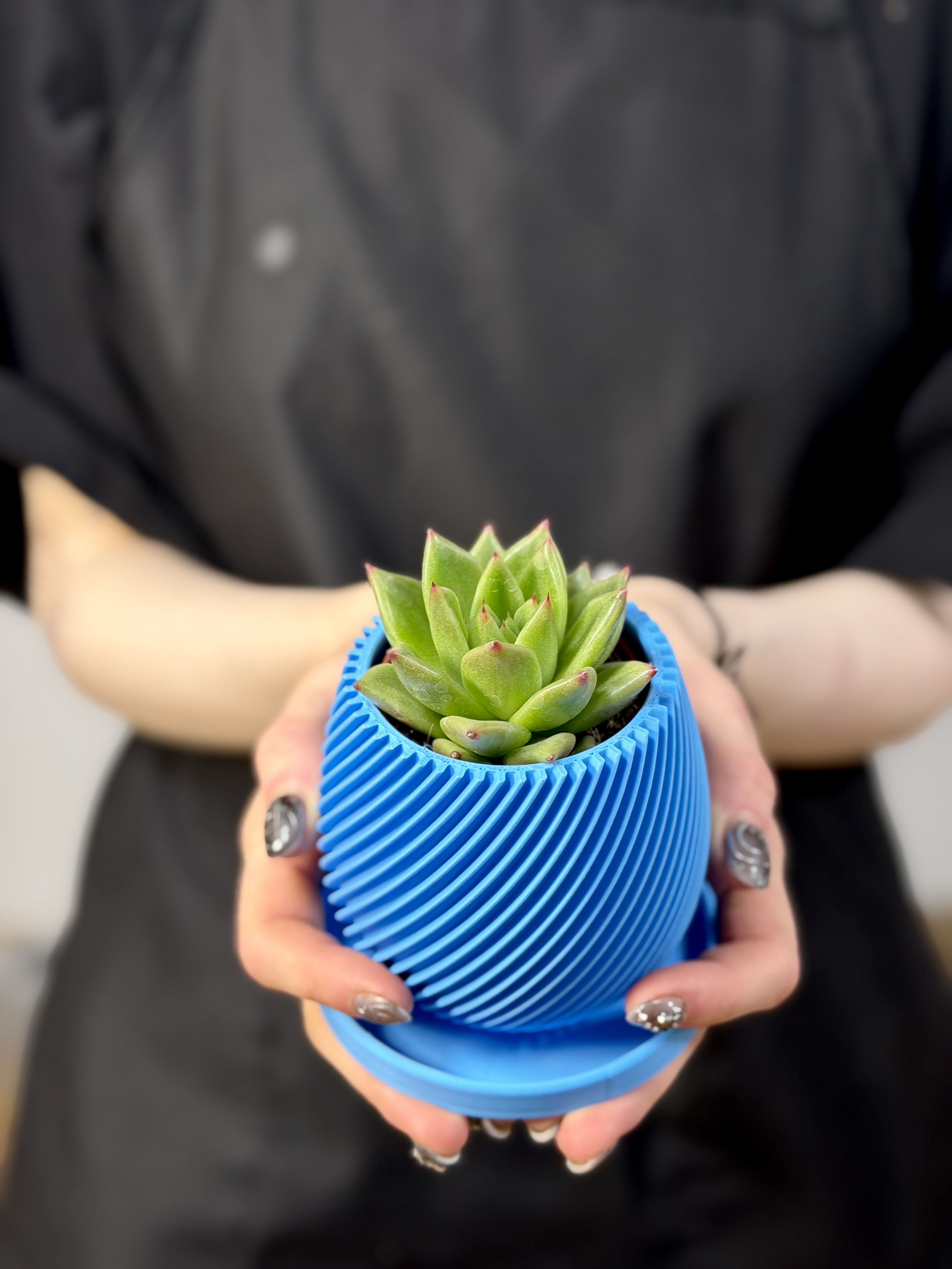 Горшок с поддоном Exotica Spiral Mini D6см - для суккулентов и кактусов