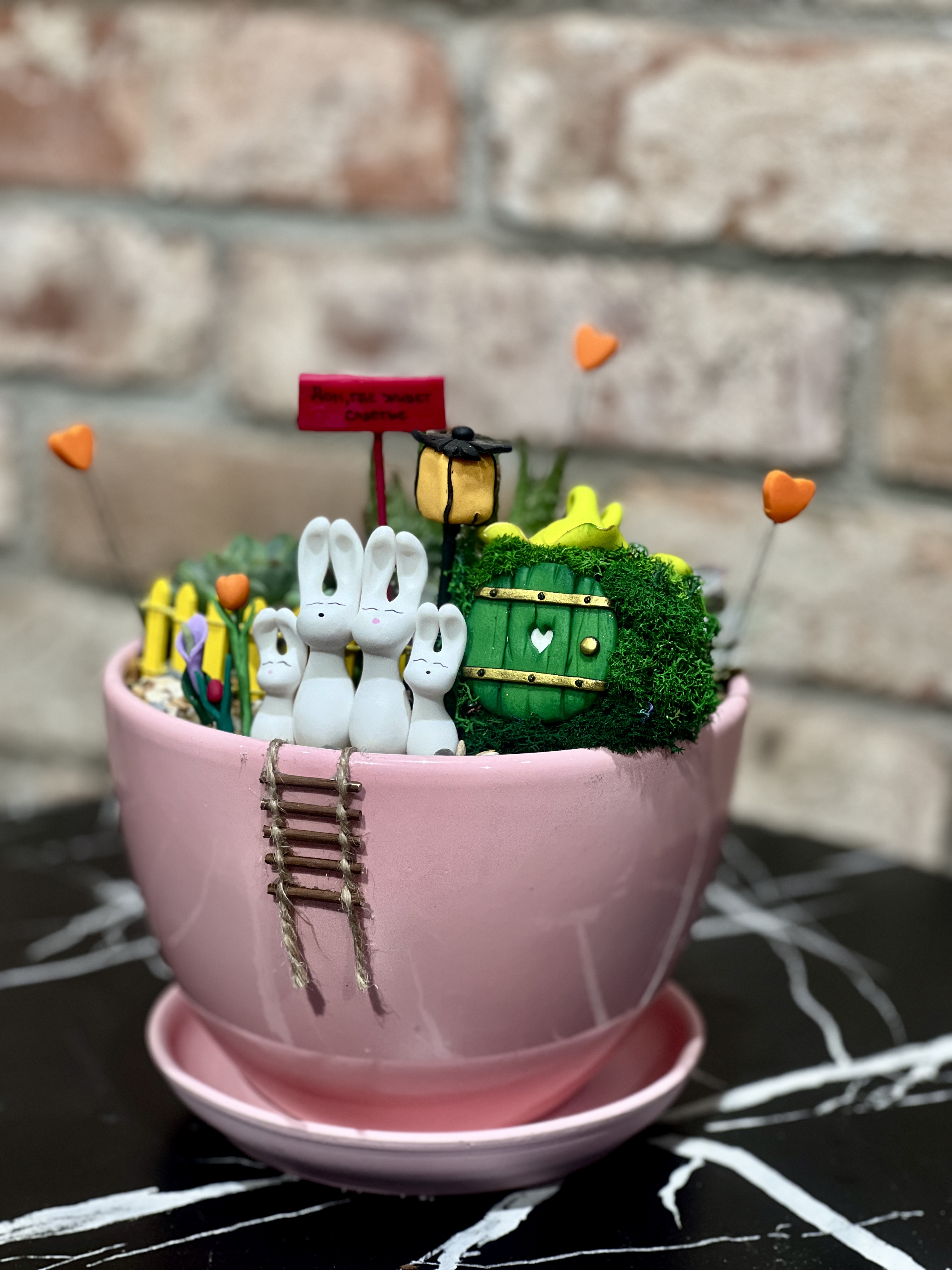 Мини сад D16см с суккулентами