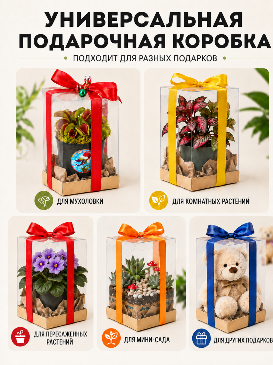 Прозрачная коробка - 12х12х18 см