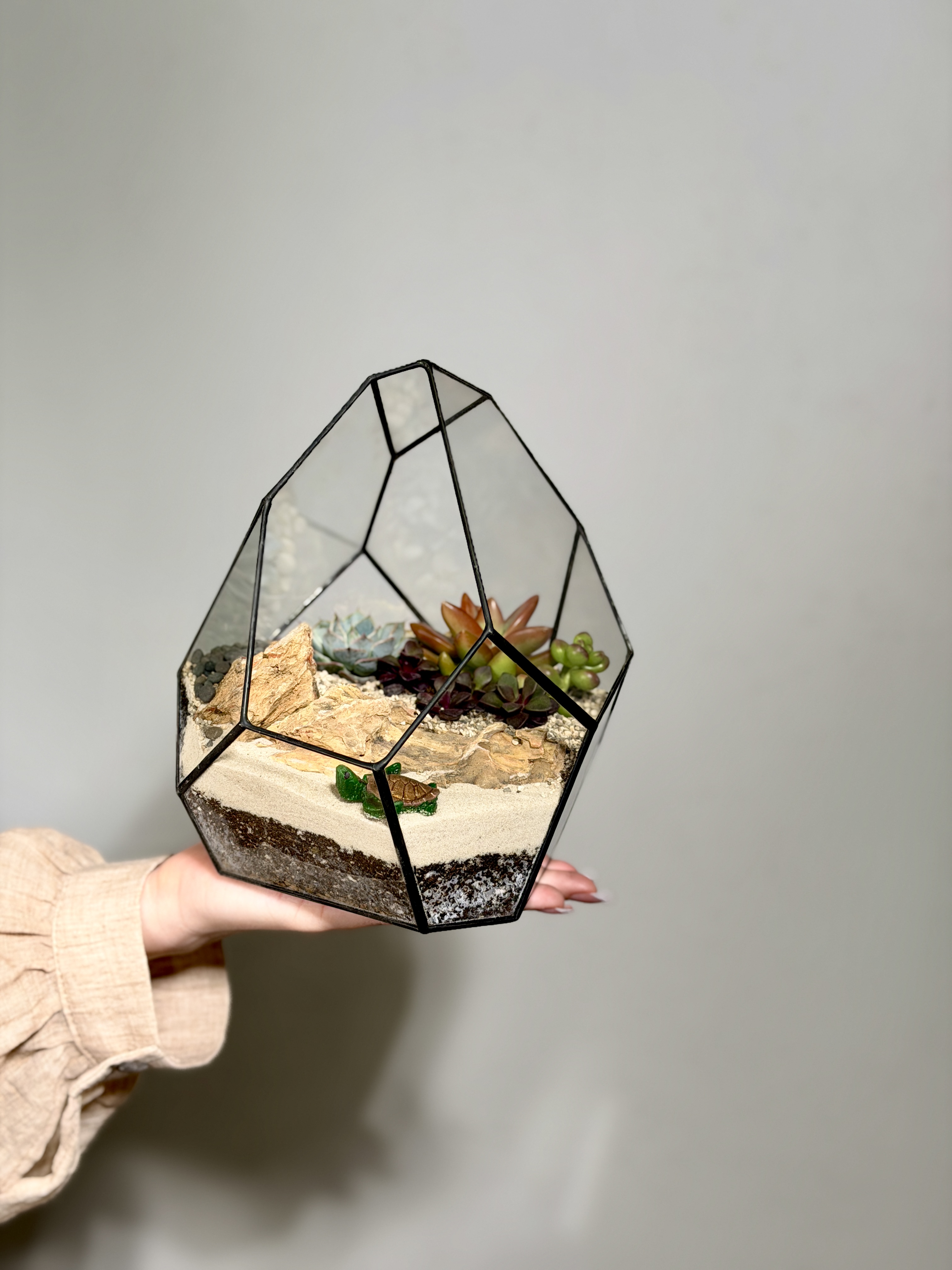 Флорариум с суккулентами «Марина»
