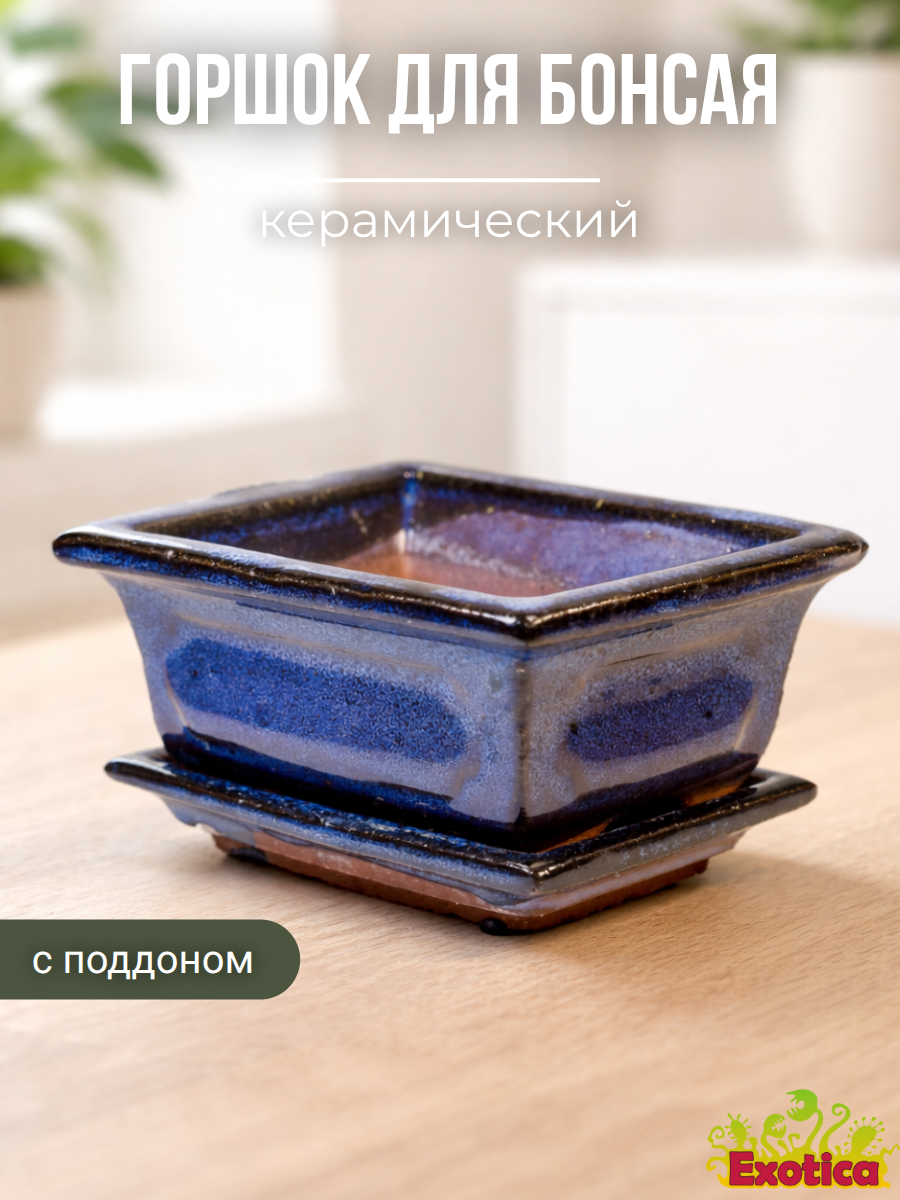 Горшок для бонсаев "Оазис" малый (пустой), с поддоном