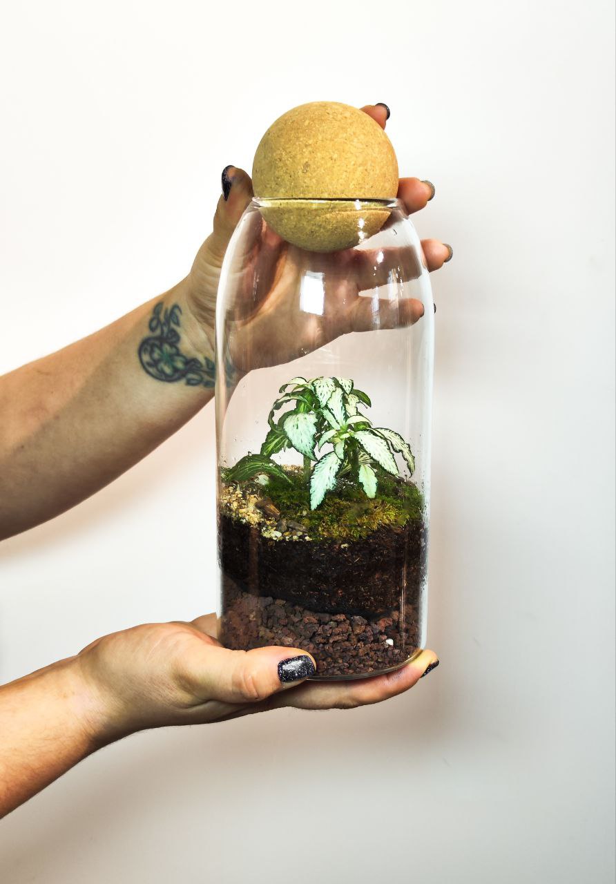 Экосистема в бутылке H24см