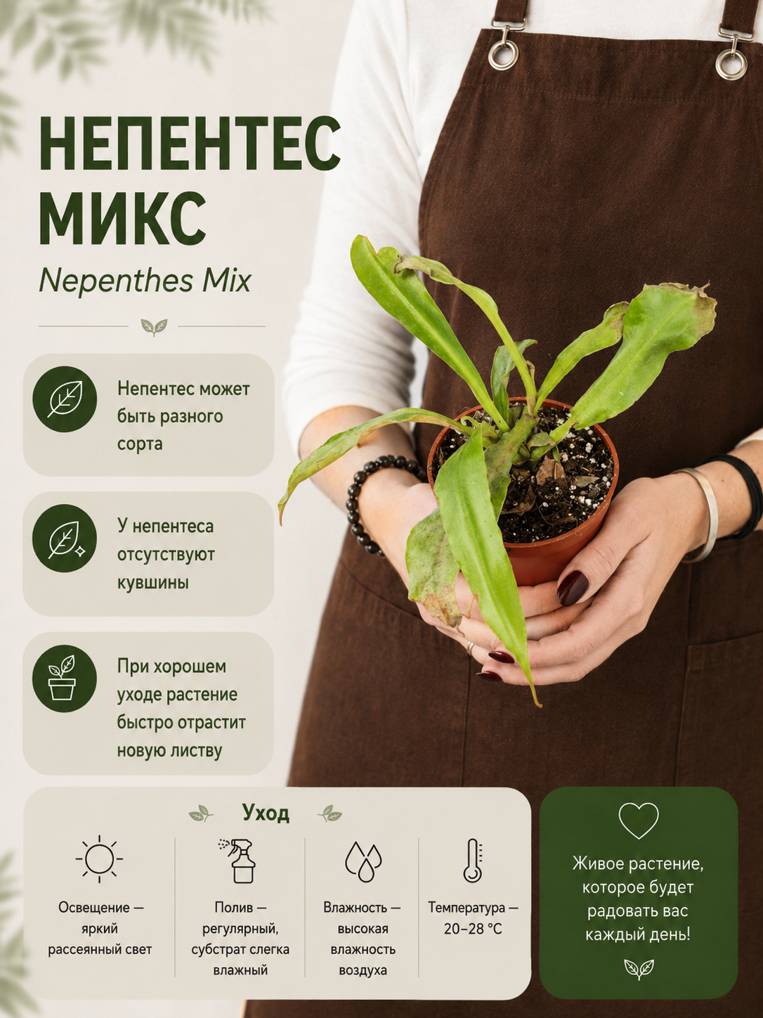 Непентес микс уцен. (Nepenthes Mix) D9см