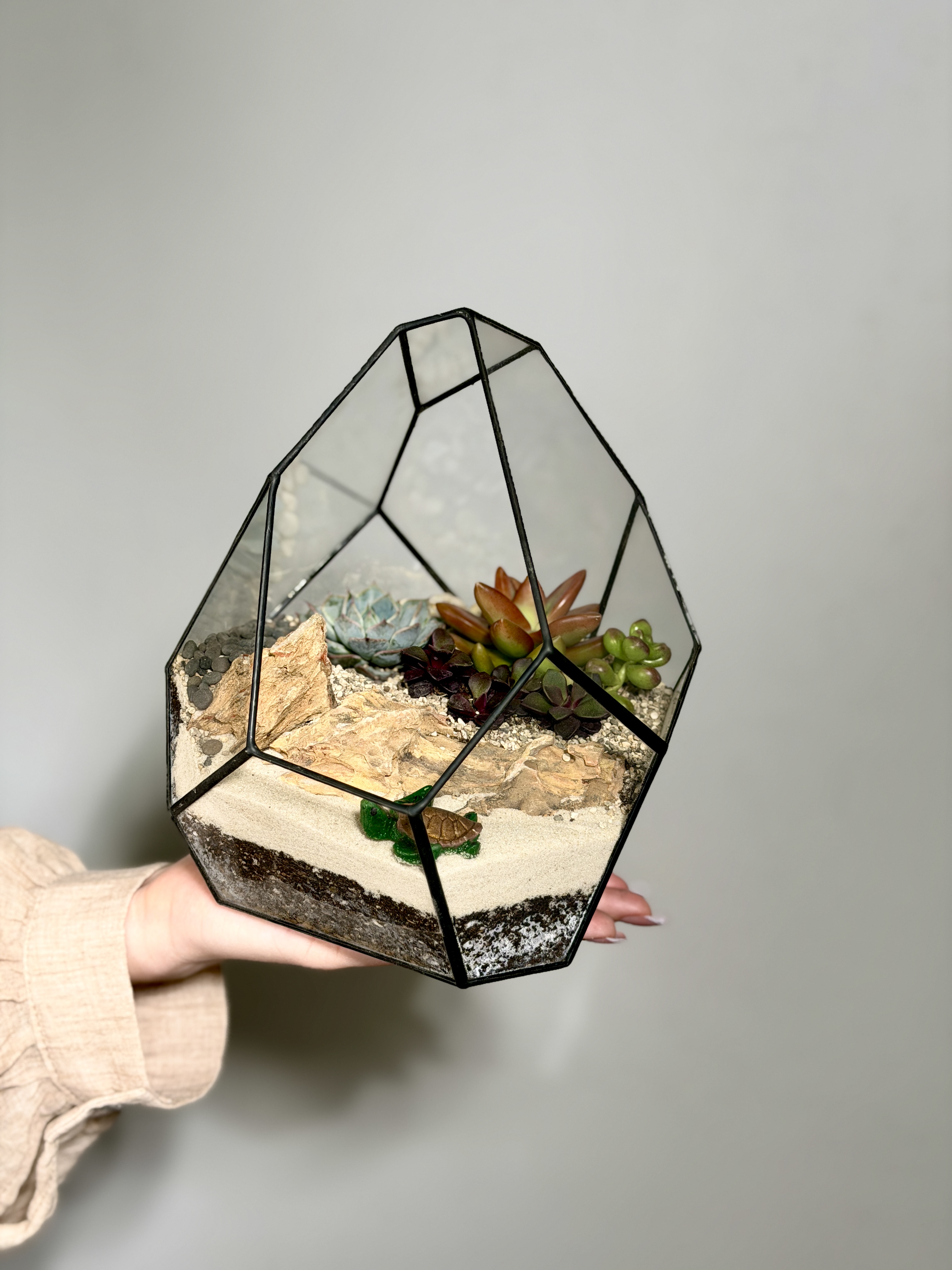 Флорариум с суккулентами «Марина»