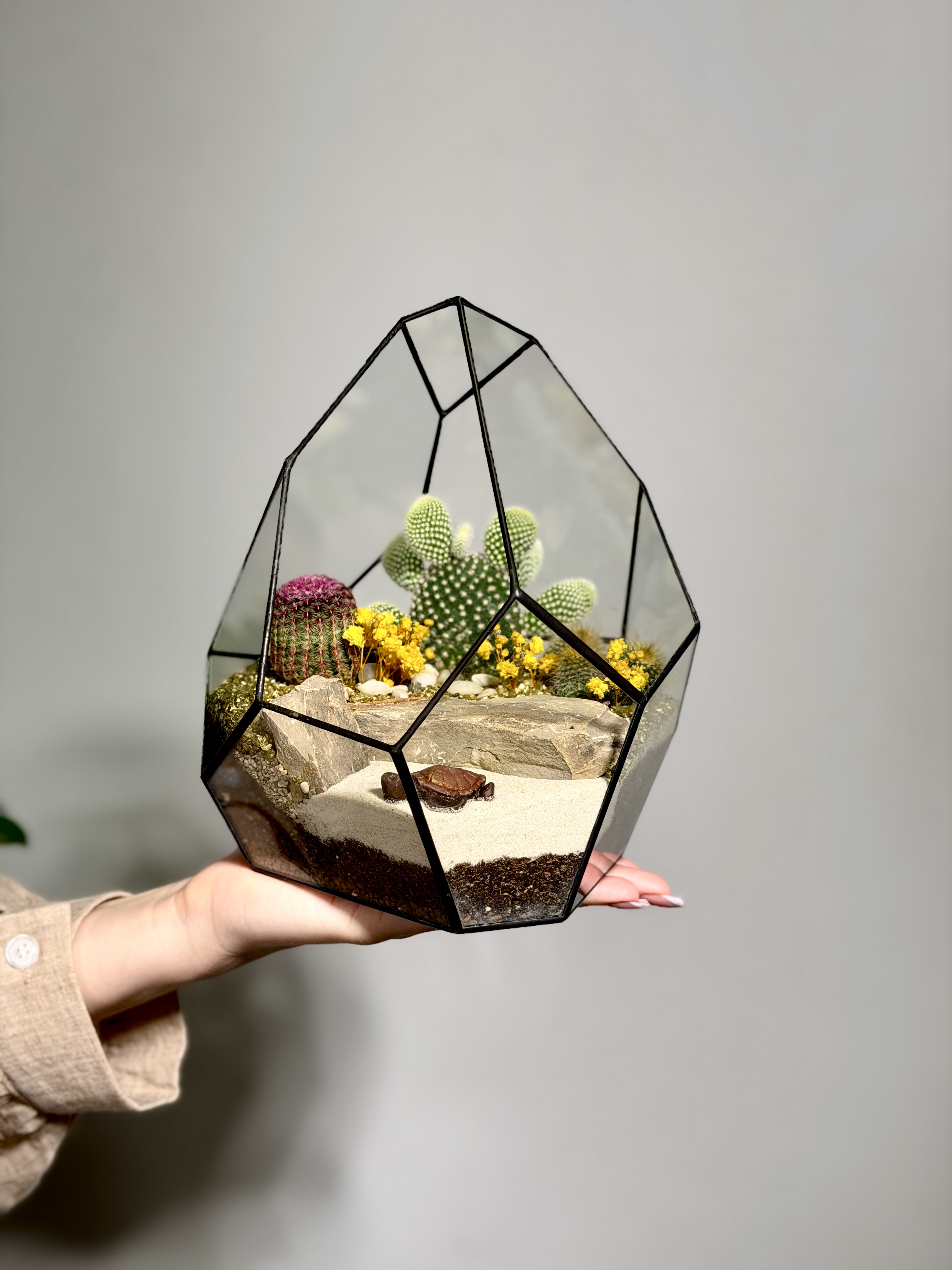 Флорариум с кактусами «Марина»