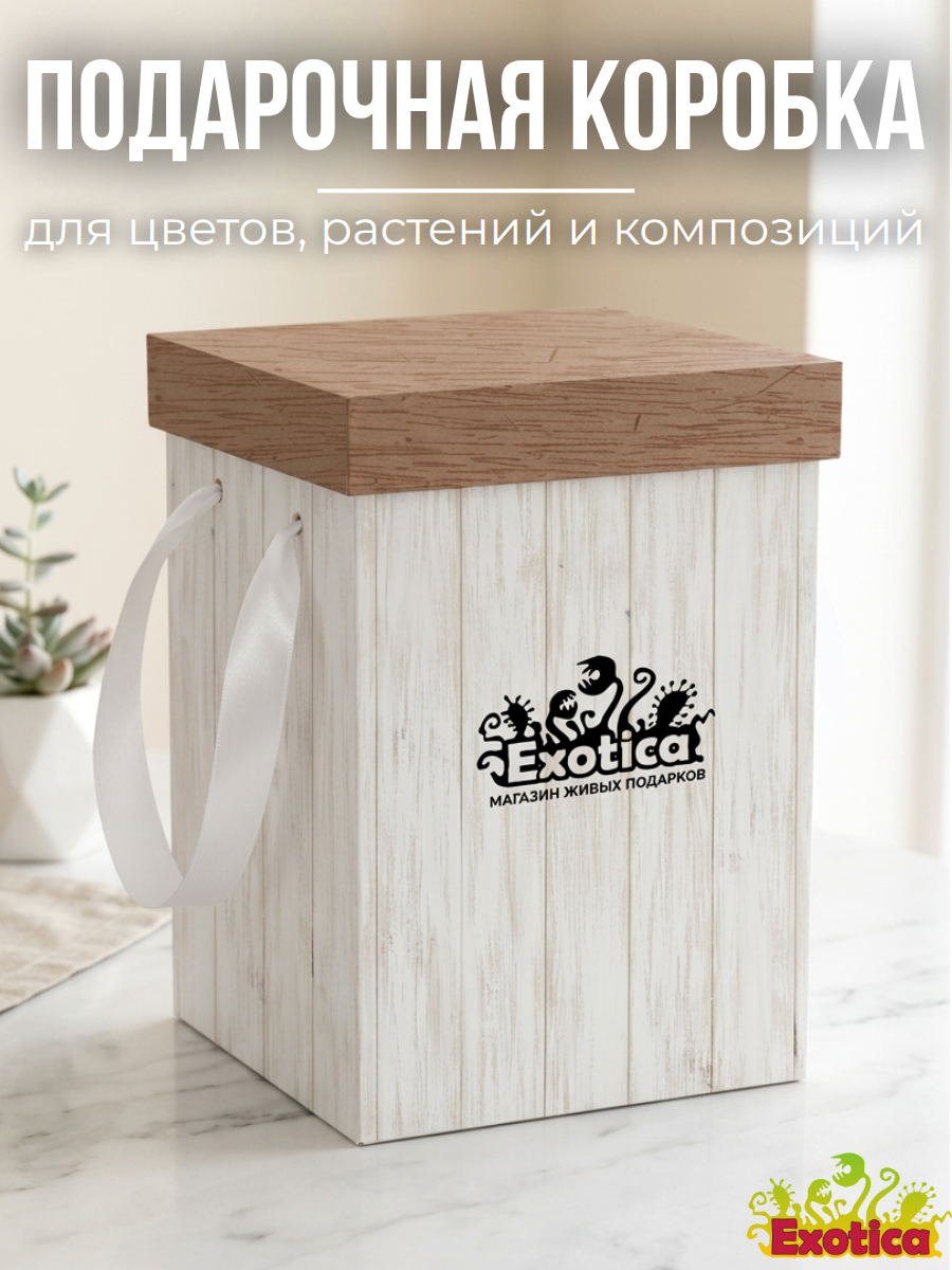 Коробка Подарочная "Доски" 17*25см