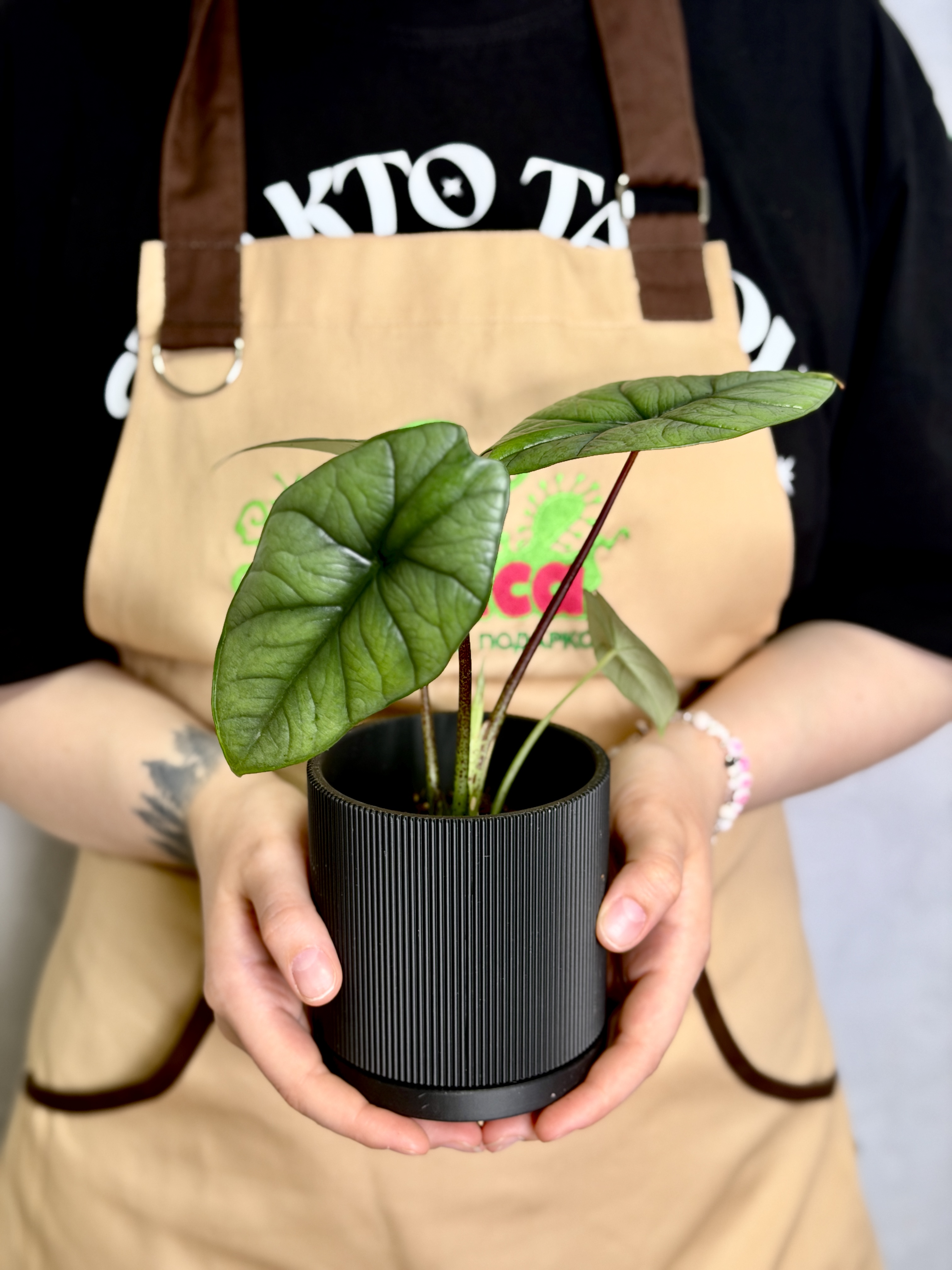 Горшок черный с поддоном Exotica Nordic D9см