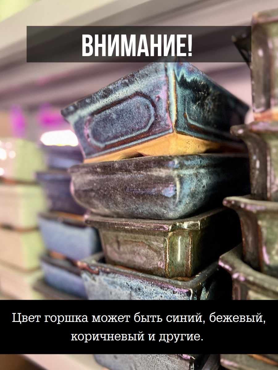 Горшок для бонсаев "Оазис" большой (пустой), с поддоном