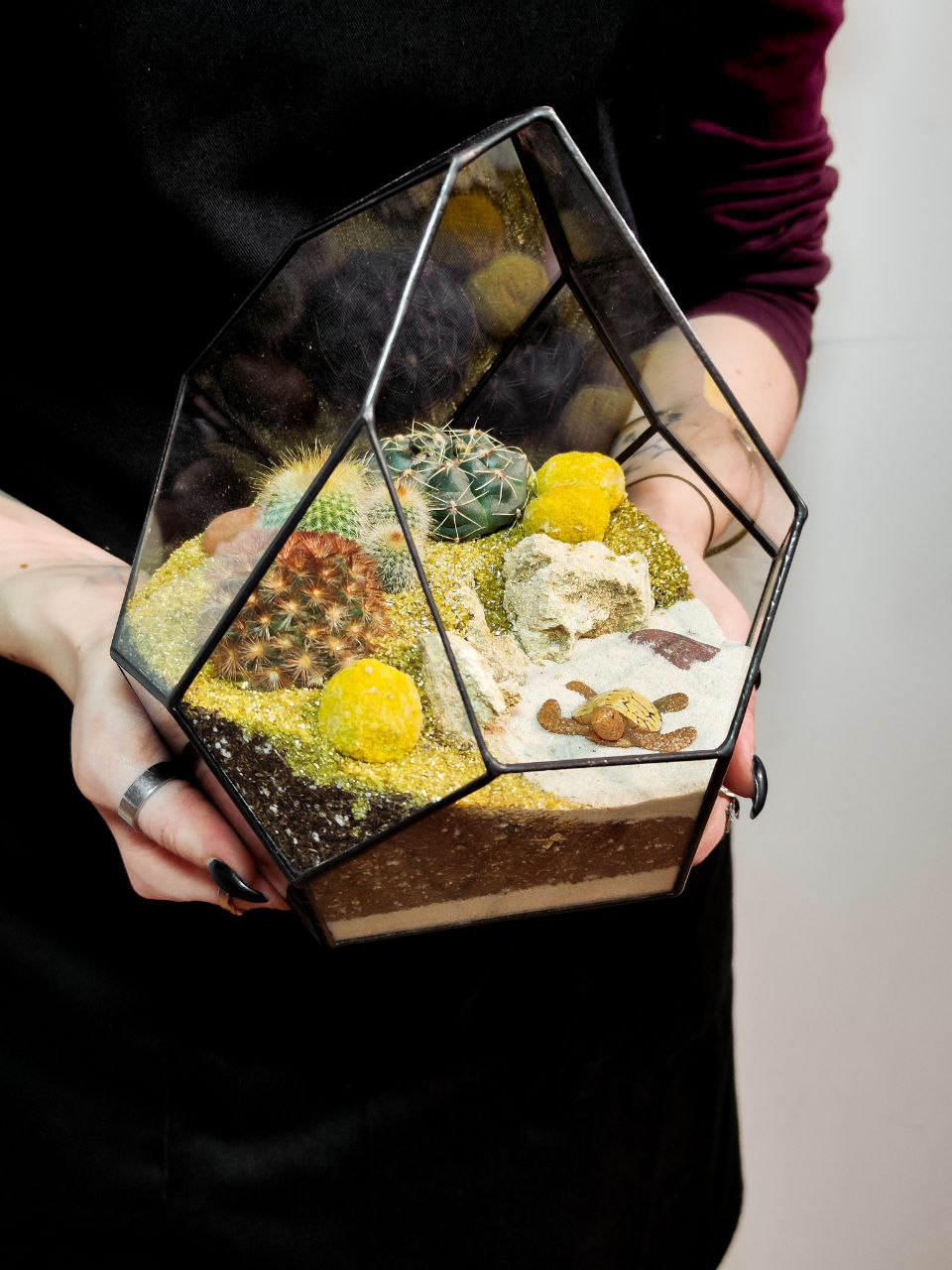 Флорариум с кактусами «Марина»