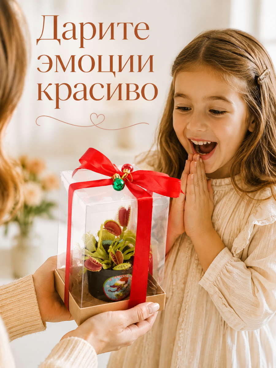 Прозрачная коробка - 12х12х18 см