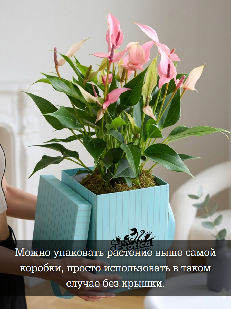 Коробка Подарочная "Пинк Борд" 17*25см