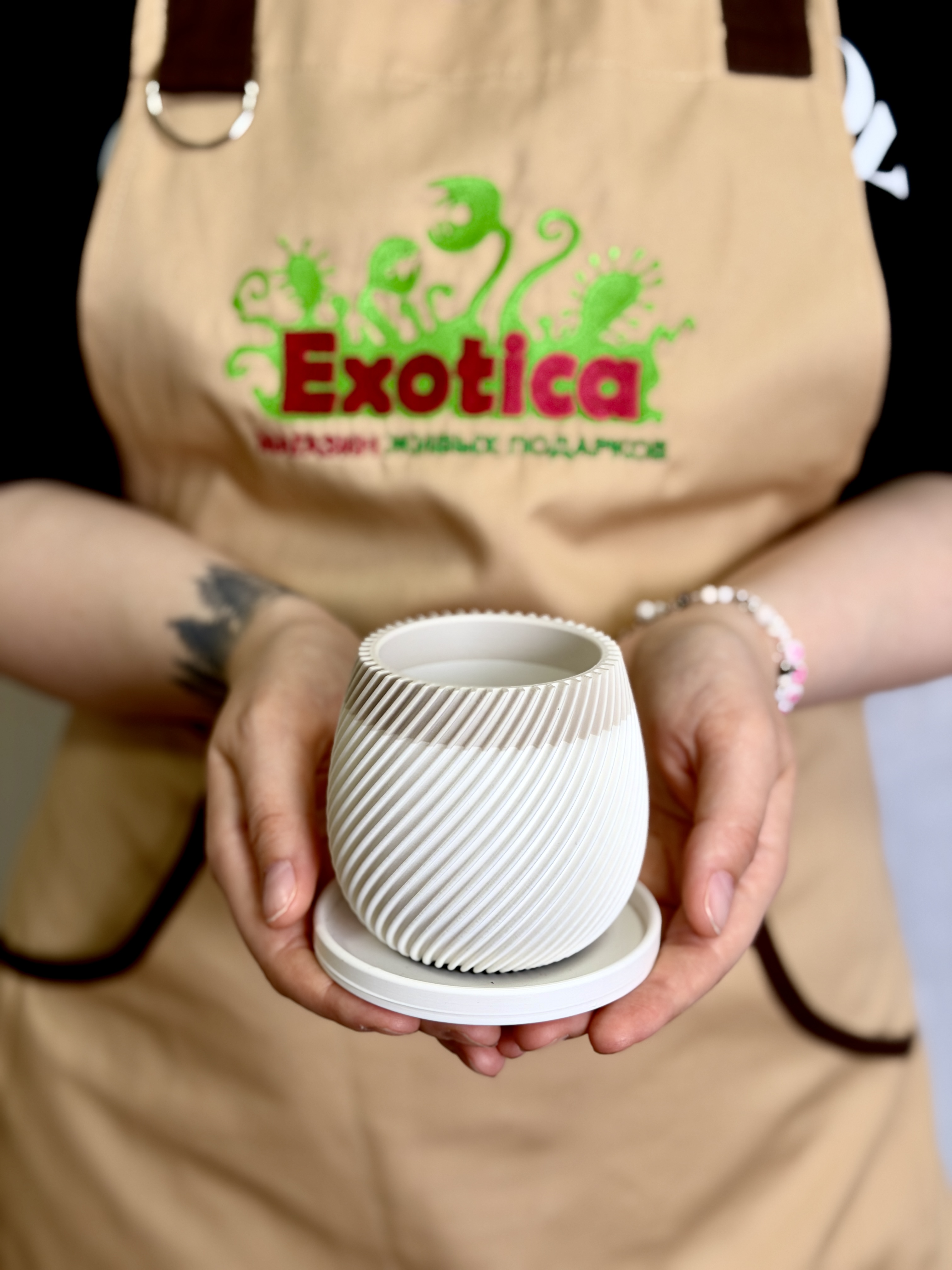 Горшок с поддоном Exotica Spiral Mini D6см - для суккулентов и кактусов