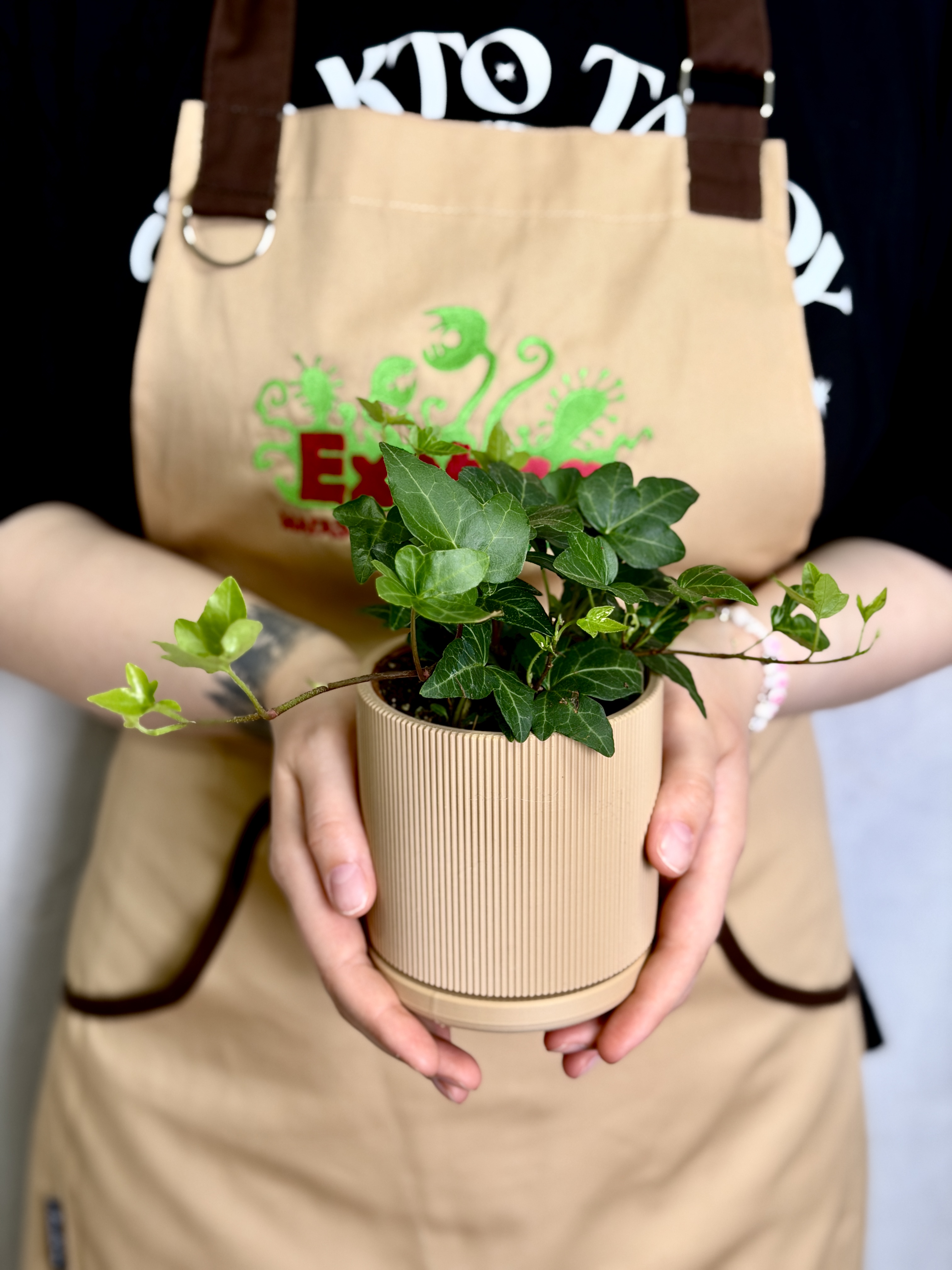 Горшок песочный беж с поддоном Exotica Nordic D9см