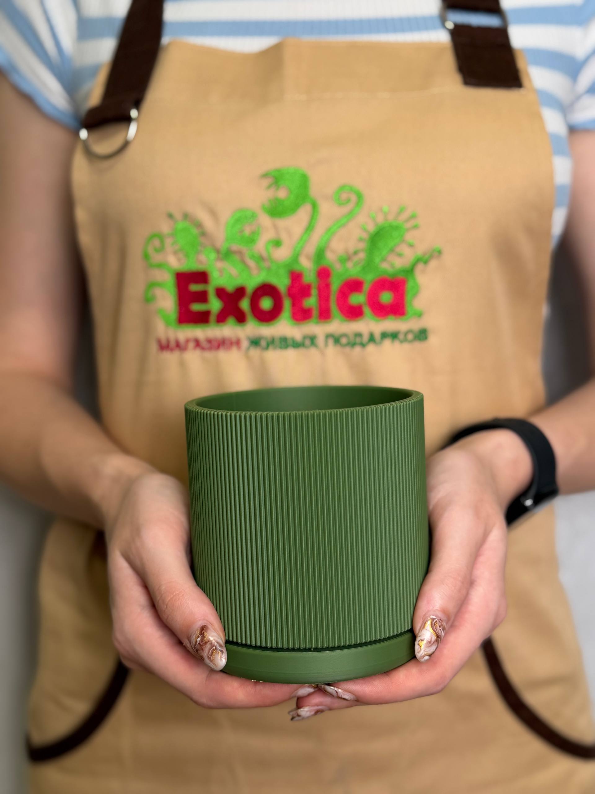 Горшок зеленый с поддоном Exotica Nordic D9см