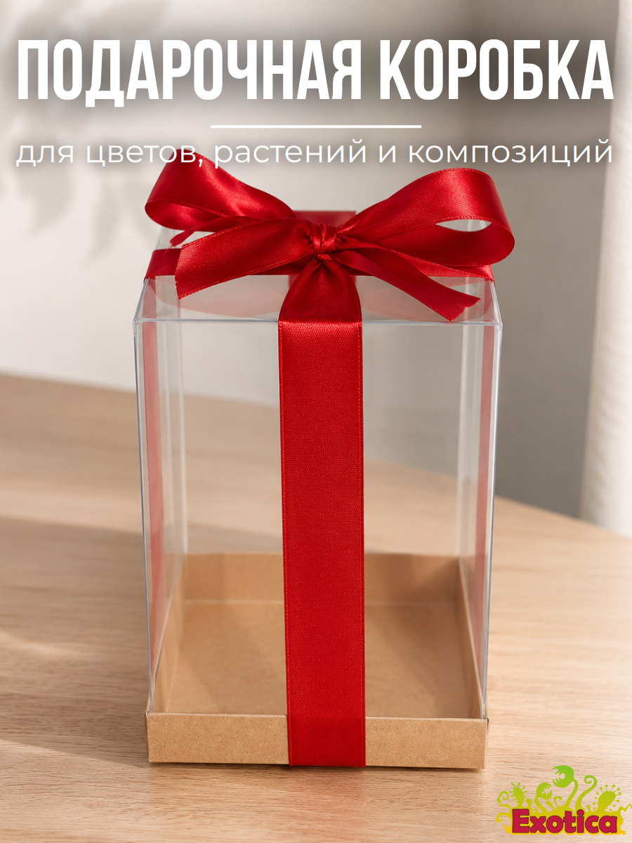 Прозрачная коробка - 12х12х18 см