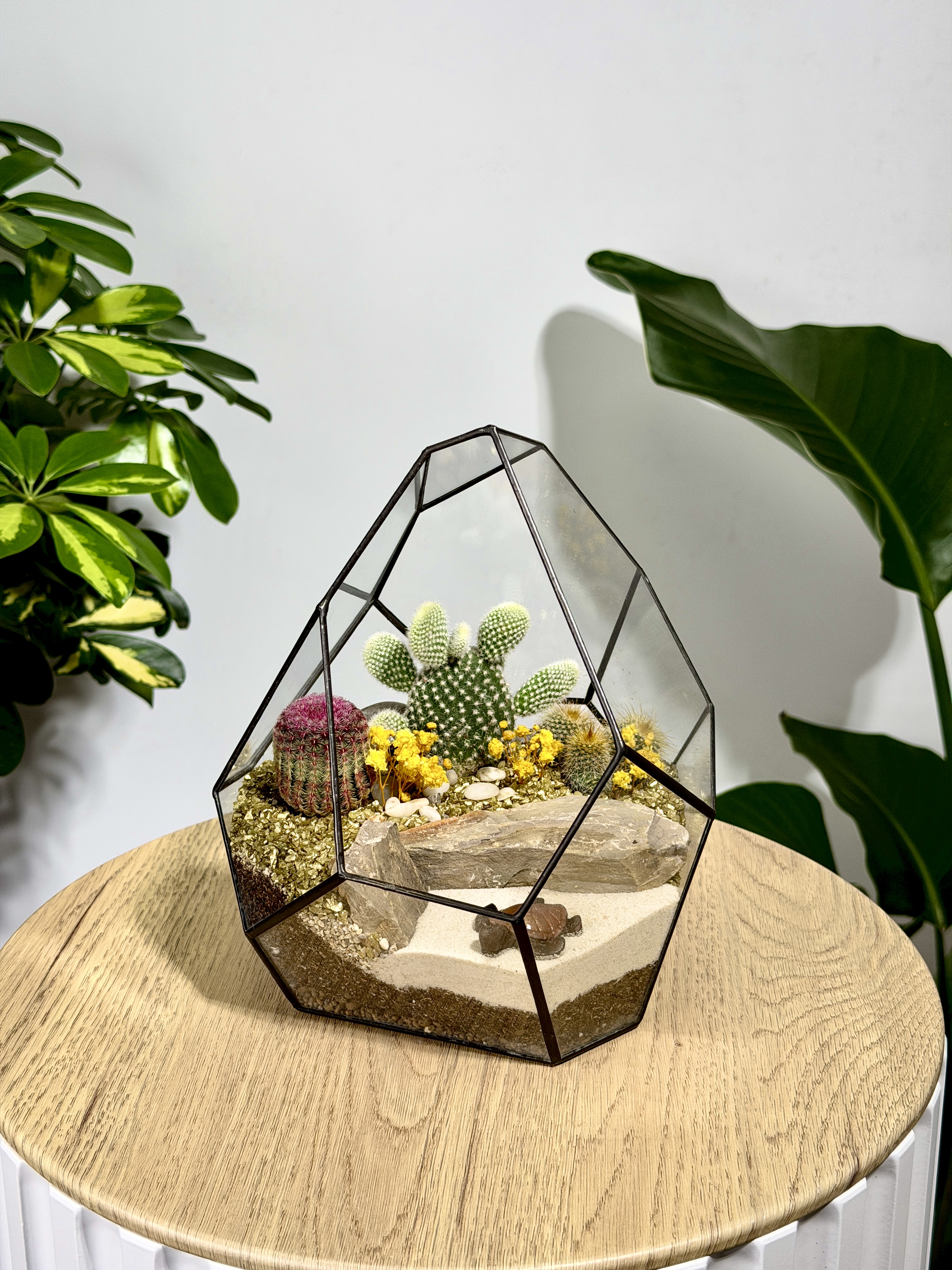 Флорариум с кактусами «Марина»