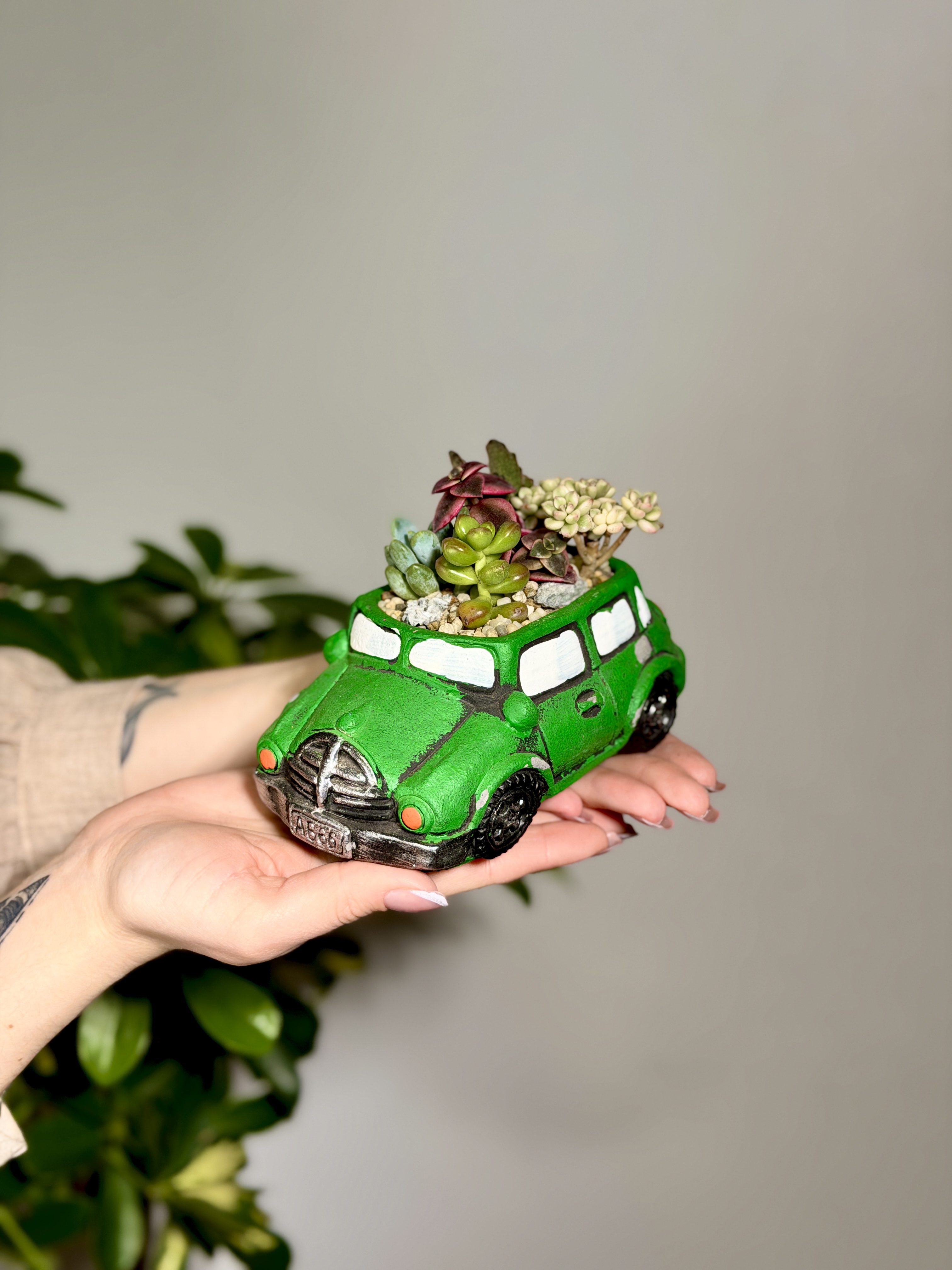 Мини сад "Машинка" с суккулентами