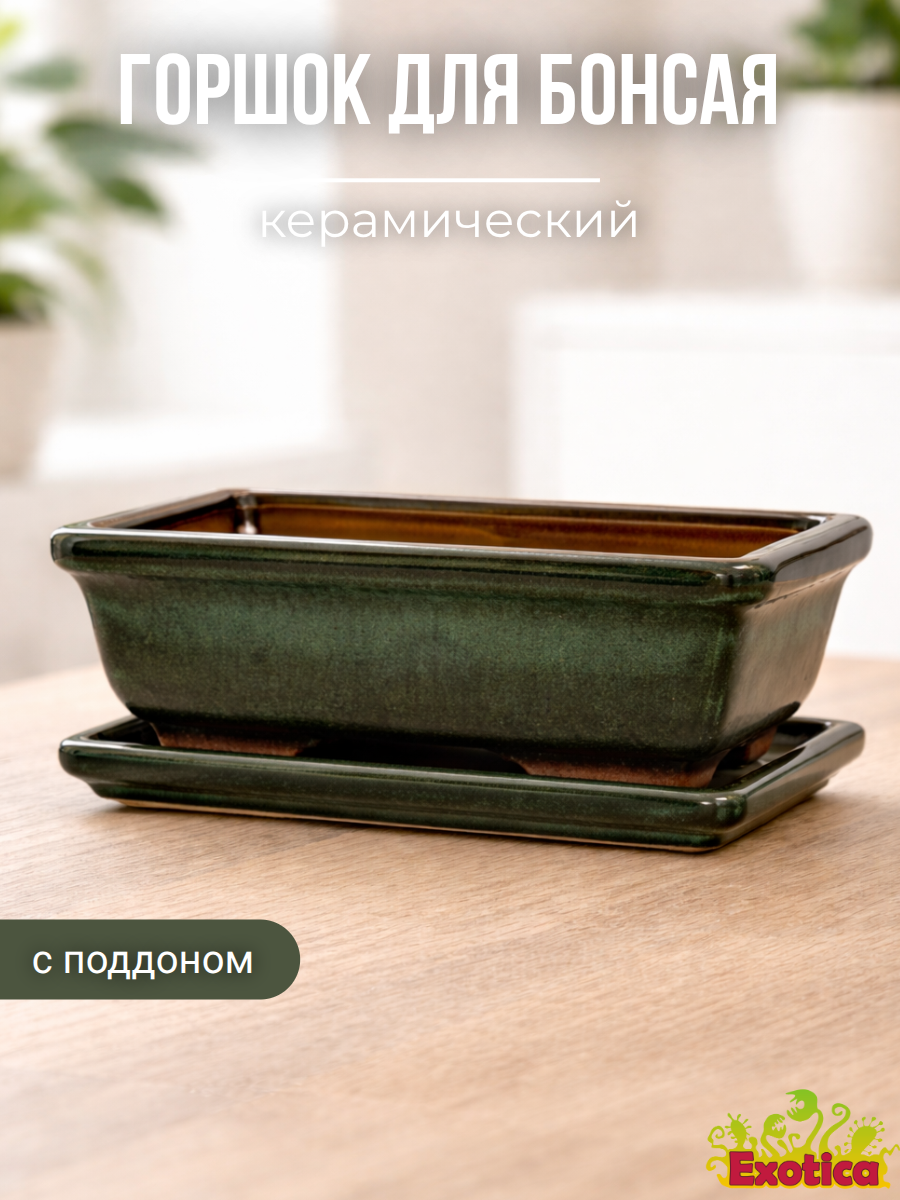 Горшок для бонсаев "Оазис" большой (пустой), с поддоном