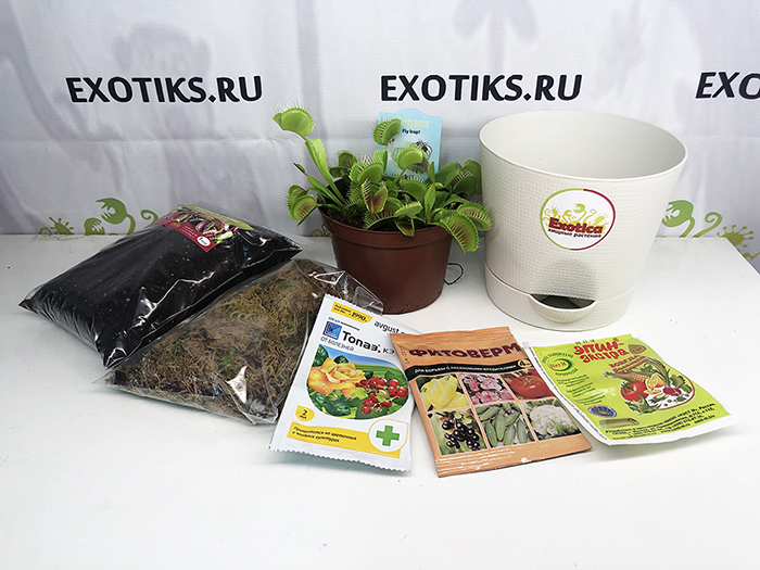 КОМБО №3