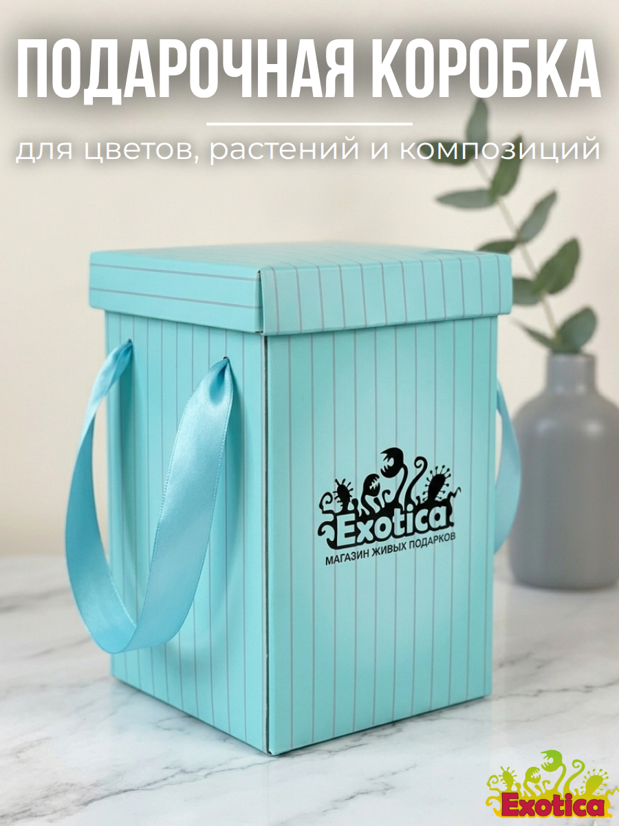 Коробка Подарочная "Блю Скай" 14*23см