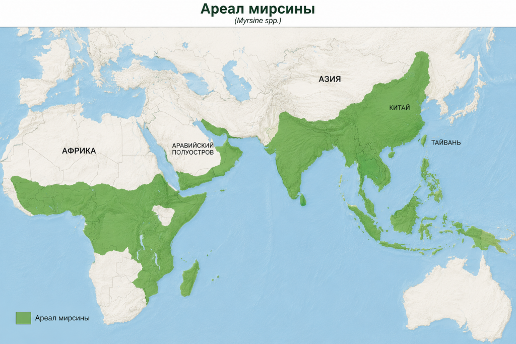 ареал-распространения-мирсины-африканской.png