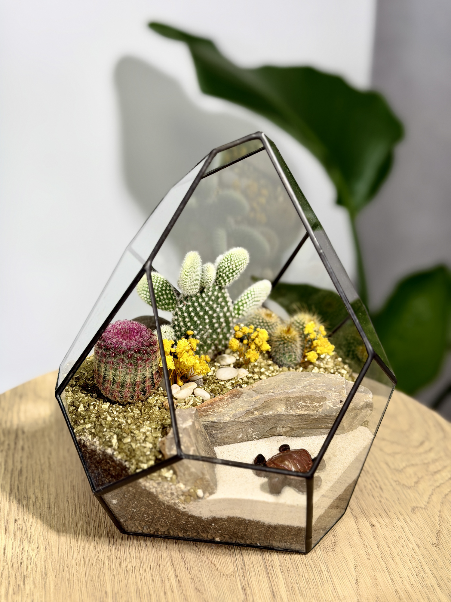Флорариум с кактусами «Марина»