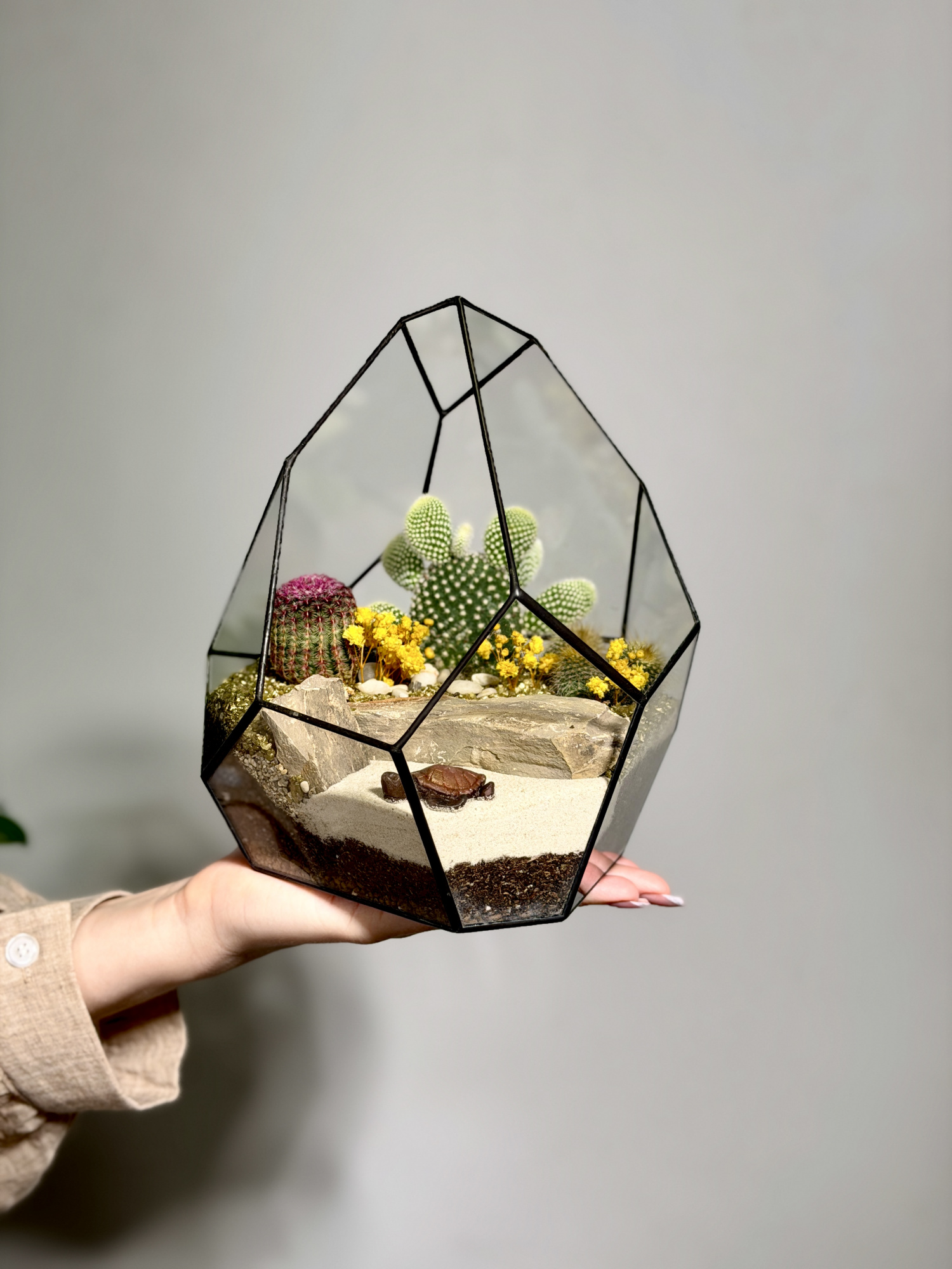 Флорариум с кактусами «Марина»