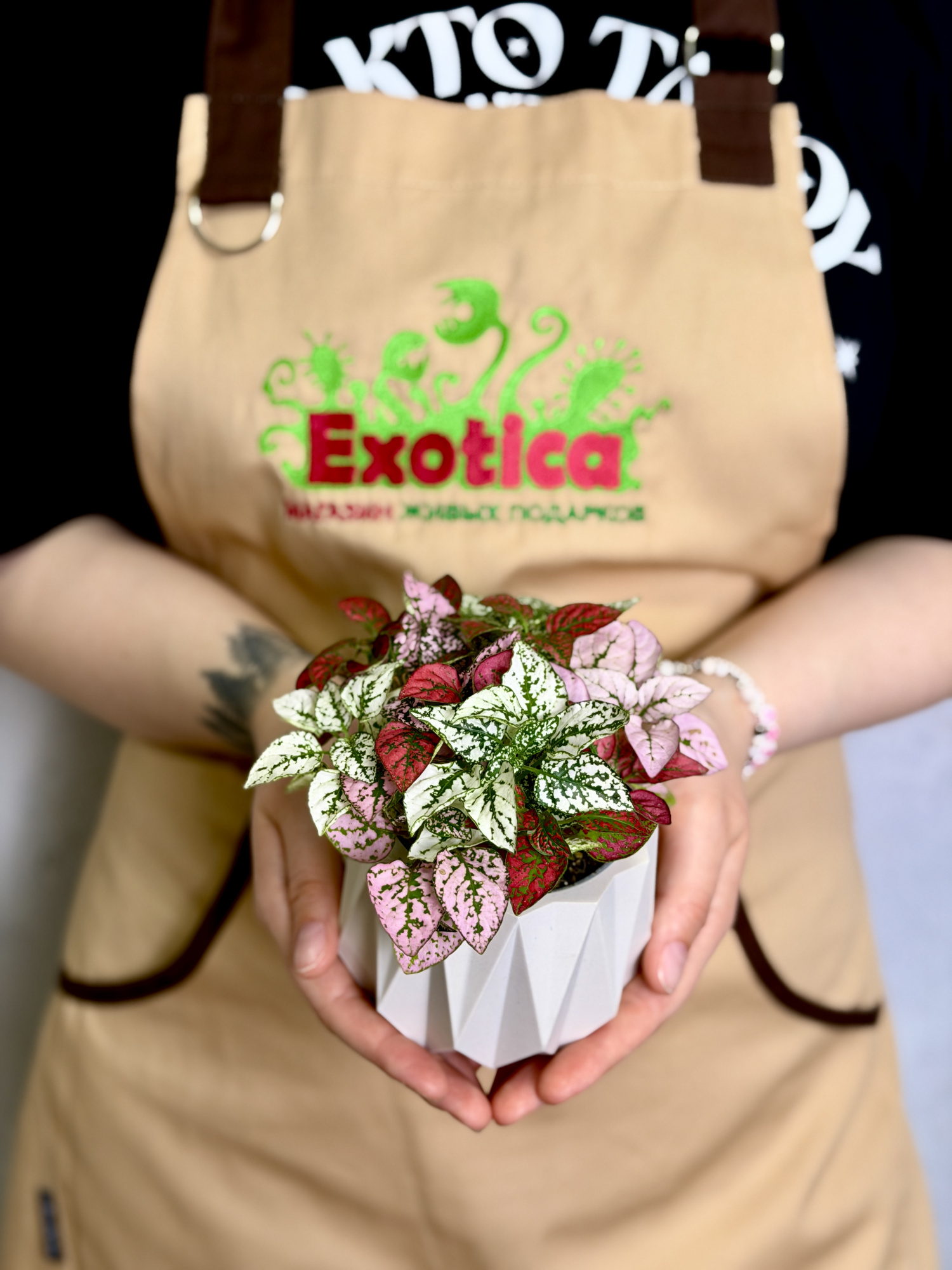 Кашпо Exotica Geo Mini D8,5см (для хой, суккулентов, кактусов и др)