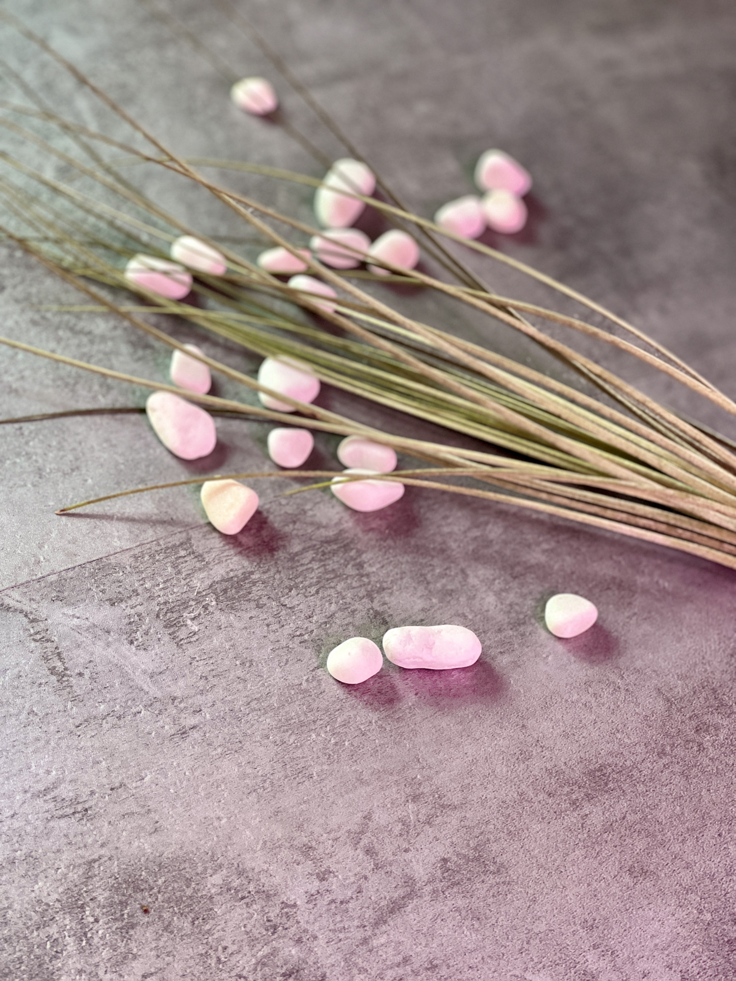 Тилландсия Ситниковая (Tillandsia Juncea)