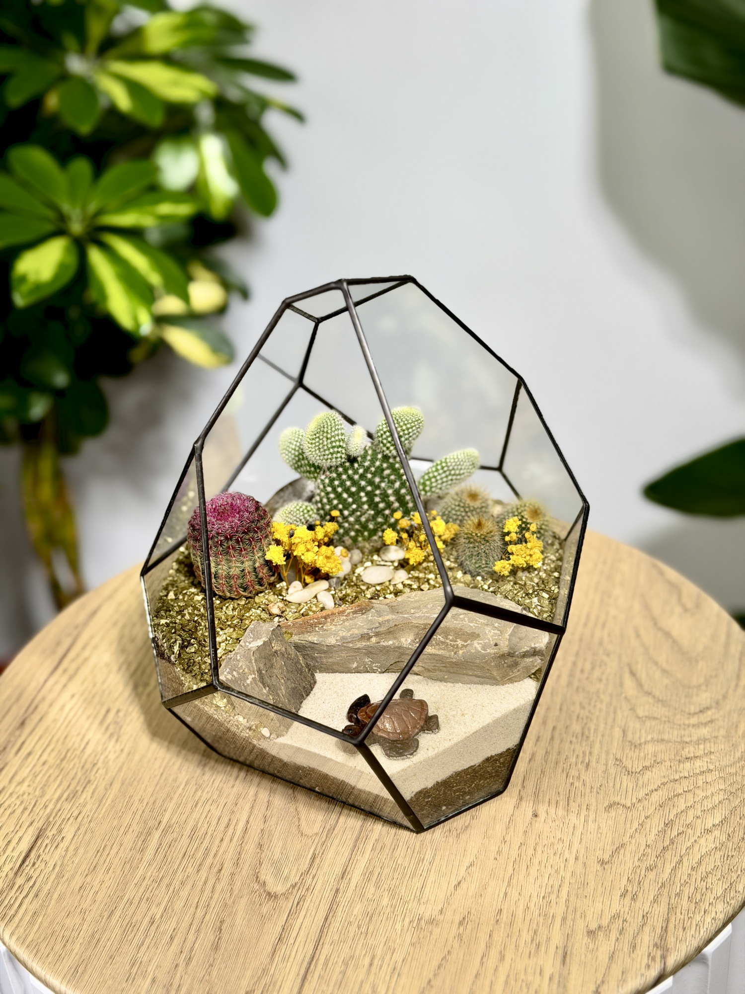 Флорариум с кактусами «Марина»